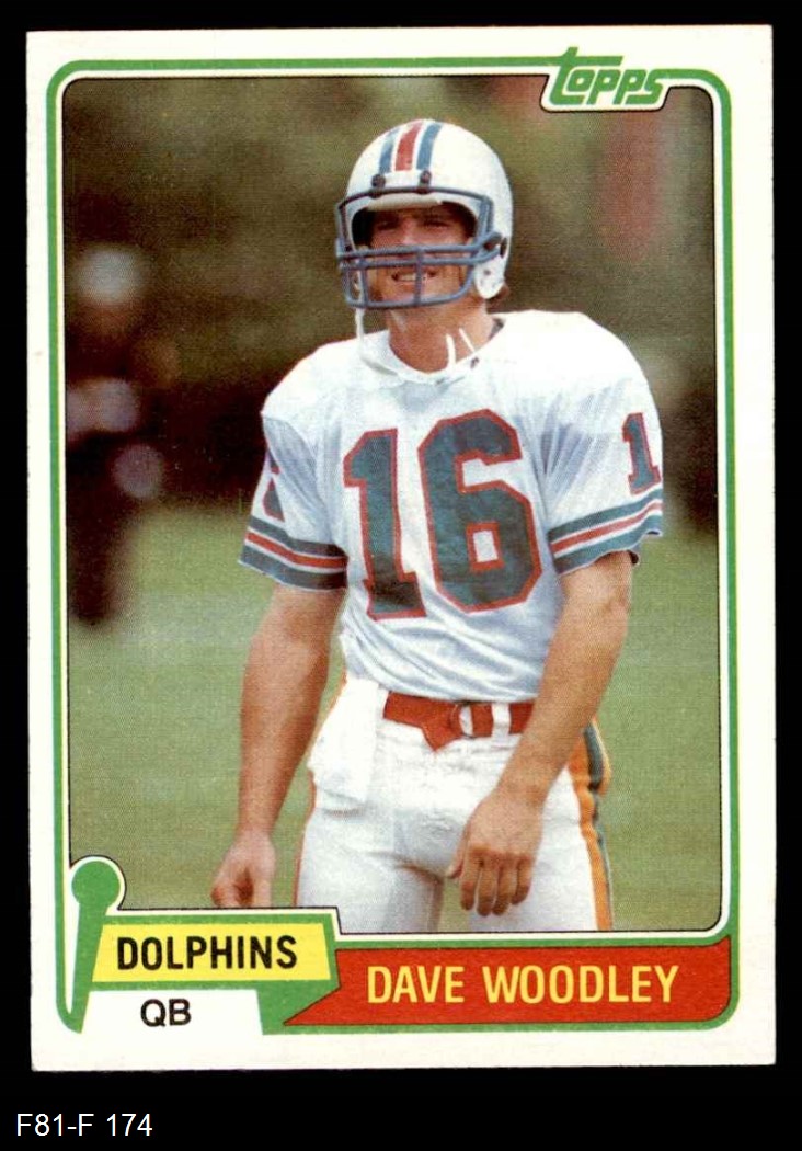 1981 miami dolphins