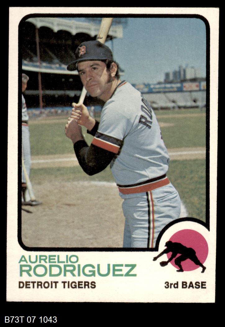 serial number dicionario aurelio