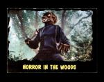 1964 Outer Limits #13   Horror in the Woods Front Thumbnail