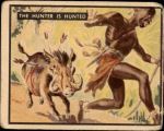 1950 Topps Bring Em Back Alive #35   Hunter Is Hunted Front Thumbnail