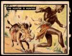 1950 Topps Bring Em Back Alive #35   Hunter Is Hunted Front Thumbnail